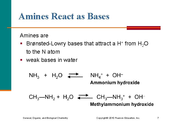 Amines React as Bases Amines are § Brønsted-Lowry bases that attract a H+ from