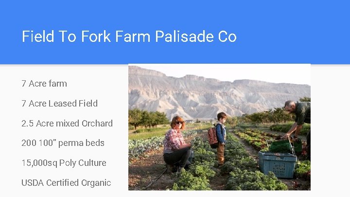 Field To Fork Farm Palisade Co 7 Acre farm 7 Acre Leased Field 2.