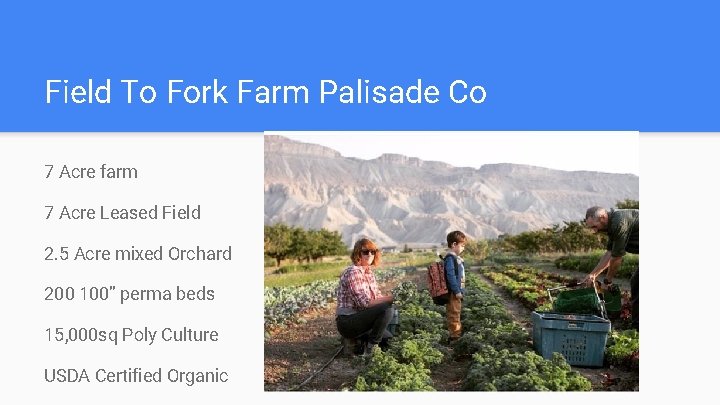 Field To Fork Farm Palisade Co 7 Acre farm 7 Acre Leased Field 2.