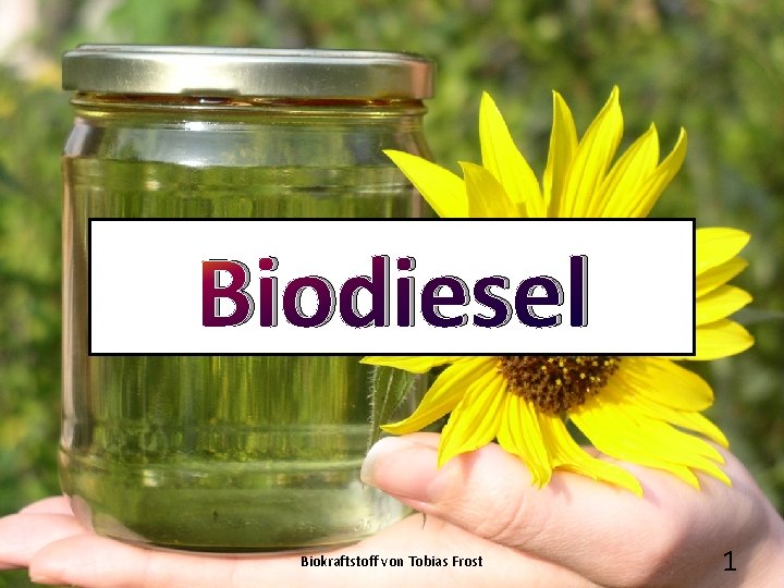 Biodiesel Biokraftstoff von Tobias Frost 1 
