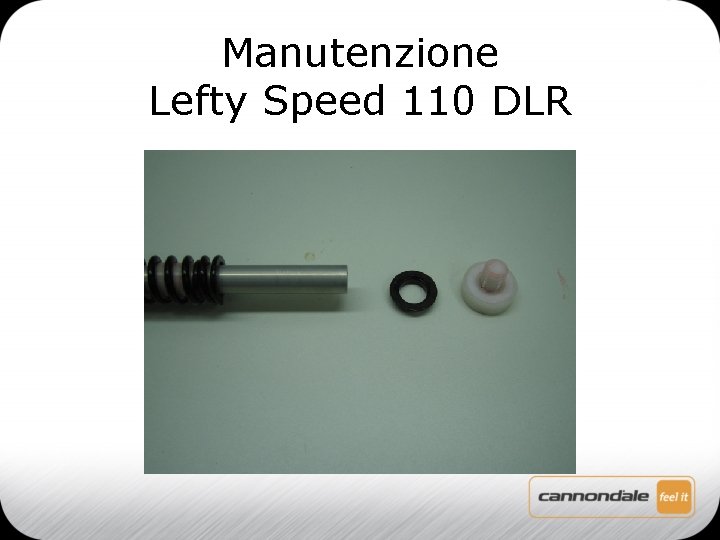 Manutenzione Lefty Speed 110 DLR 