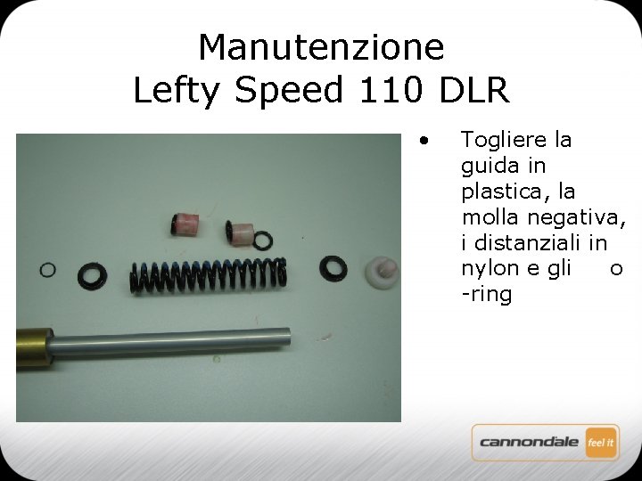 Manutenzione Lefty Speed 110 DLR • Togliere la guida in plastica, la molla negativa,