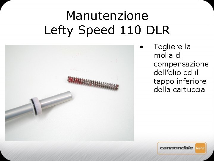 Manutenzione Lefty Speed 110 DLR • Togliere la molla di compensazione dell’olio ed il