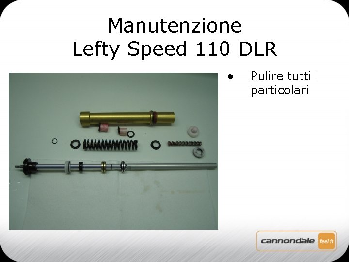 Manutenzione Lefty Speed 110 DLR • Pulire tutti i particolari 