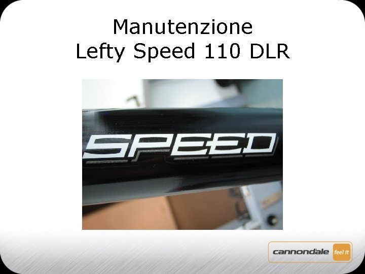 Manutenzione Lefty Speed 110 DLR 