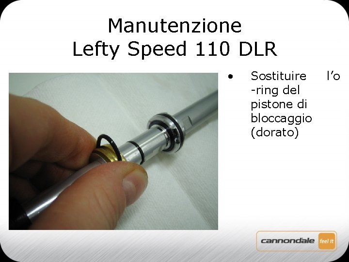 Manutenzione Lefty Speed 110 DLR • Sostituire -ring del pistone di bloccaggio (dorato) l’o