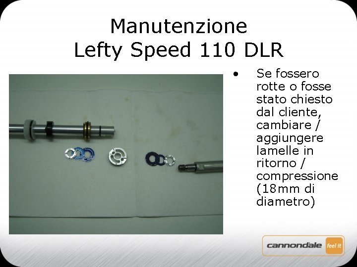 Manutenzione Lefty Speed 110 DLR • Se fossero rotte o fosse stato chiesto dal