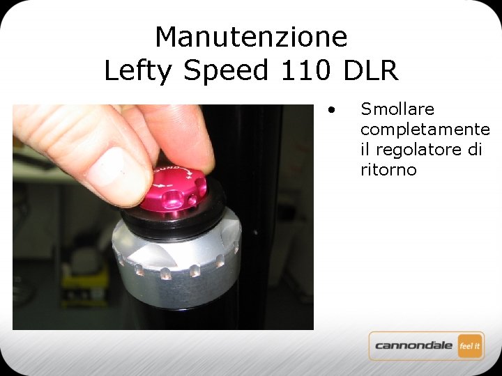 Manutenzione Lefty Speed 110 DLR • Smollare completamente il regolatore di ritorno 