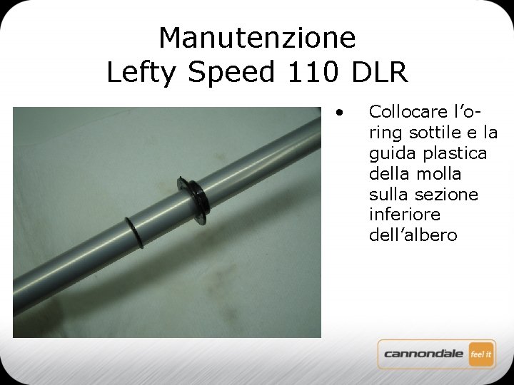 Manutenzione Lefty Speed 110 DLR • Collocare l’oring sottile e la guida plastica della