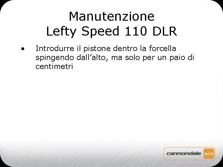 Manutenzione Lefty Speed 110 DLR • Introdurre il pistone dentro la forcella spingendo dall’alto,