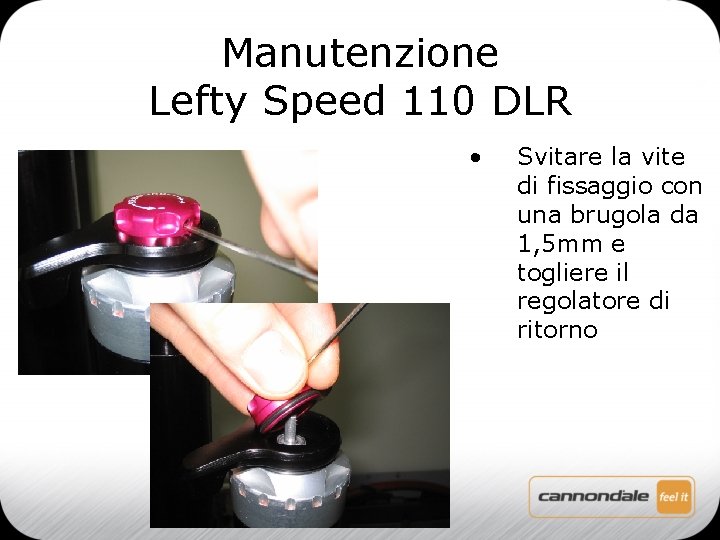 Manutenzione Lefty Speed 110 DLR • Svitare la vite di fissaggio con una brugola