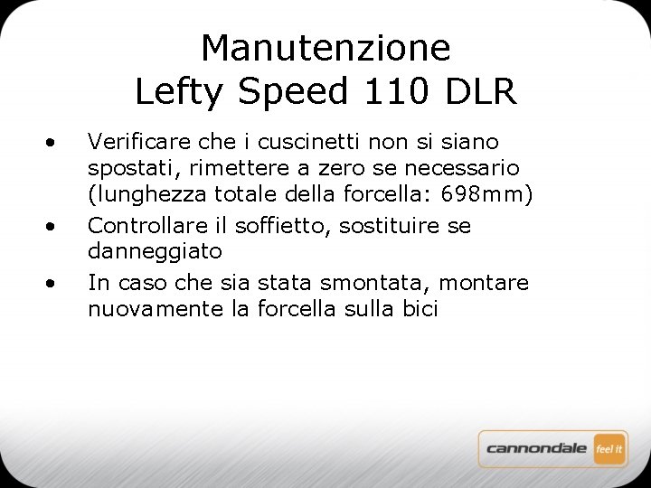 Manutenzione Lefty Speed 110 DLR • • • Verificare che i cuscinetti non si