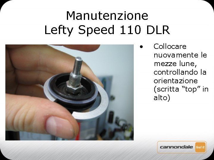 Manutenzione Lefty Speed 110 DLR • Collocare nuovamente le mezze lune, controllando la orientazione