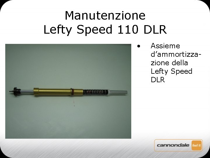 Manutenzione Lefty Speed 110 DLR • Assieme d’ammortizzazione della Lefty Speed DLR 