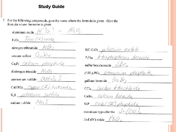 Study Guide 