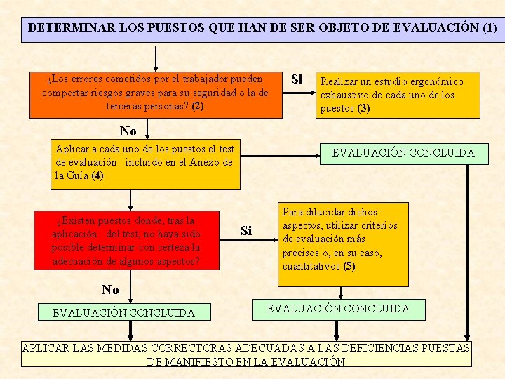 DETERMINAR LOS PUESTOS QUE HAN DE SER OBJETO DE EVALUACIÓN (1) ¿Los errores cometidos