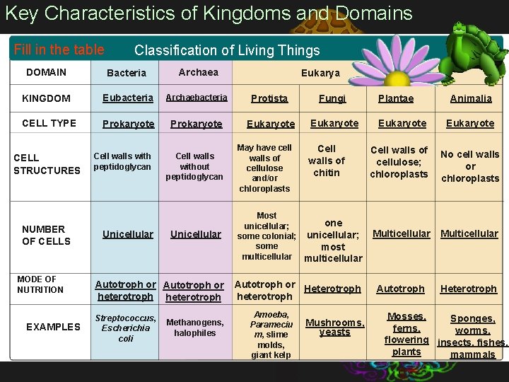Key Characteristics of Kingdoms and Domains Fill in the table Classification of Living Things