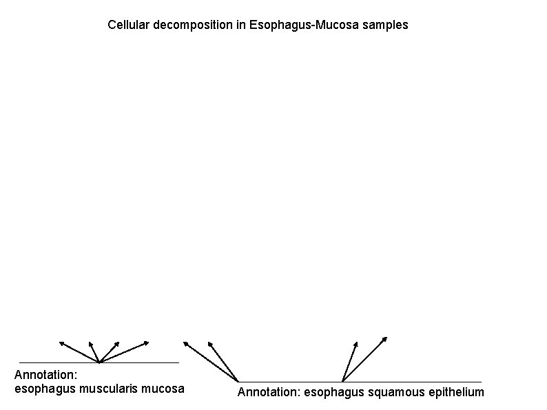 Cellular decomposition in Esophagus-Mucosa samples Annotation: esophagus muscularis mucosa Annotation: esophagus squamous epithelium 