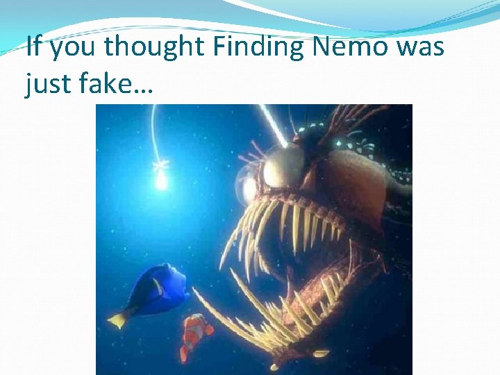 If you thought Finding Nemo was just fake… 