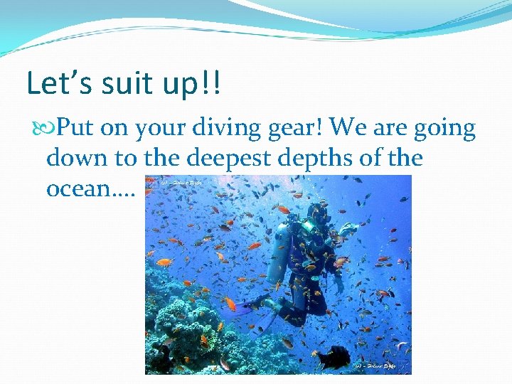 Let’s suit up!! Put on your diving gear! We are going down to the