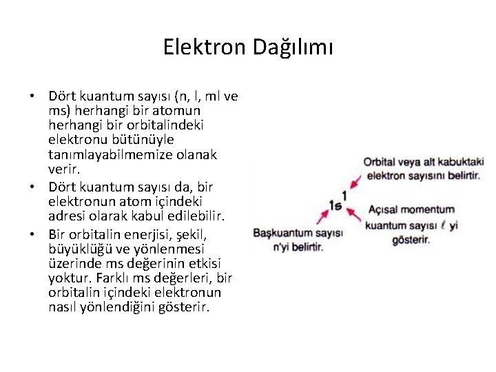 Elektron Dağılımı • Dört kuantum sayısı (n, l, ml ve ms) herhangi bir atomun