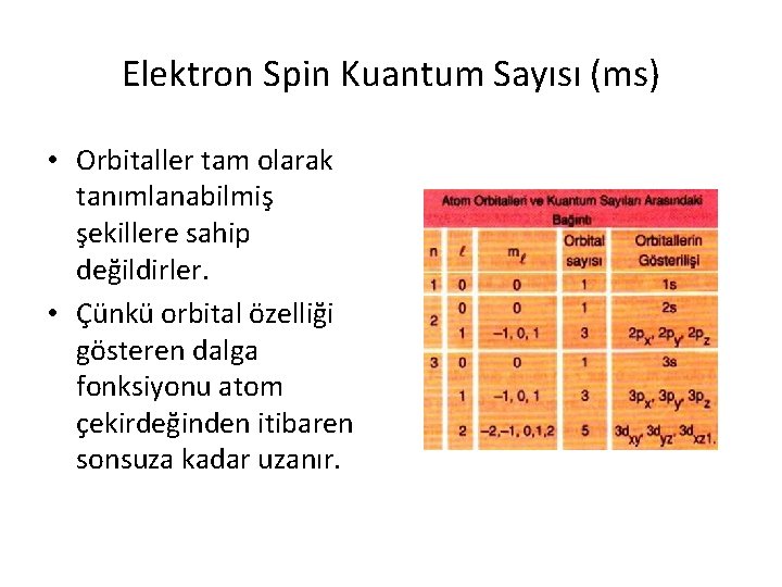 Elektron Spin Kuantum Sayısı (ms) • Orbitaller tam olarak tanımlanabilmiş şekillere sahip değildirler. •