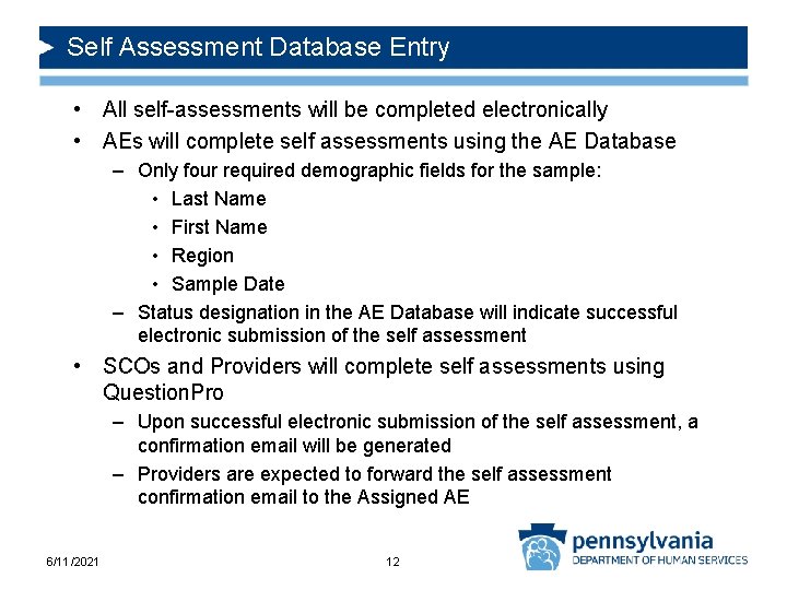 Self Assessment Database Entry • All self-assessments will be completed electronically • AEs will