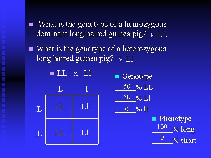 n What is the genotype of a homozygous dominant long haired guinea pig? Ø