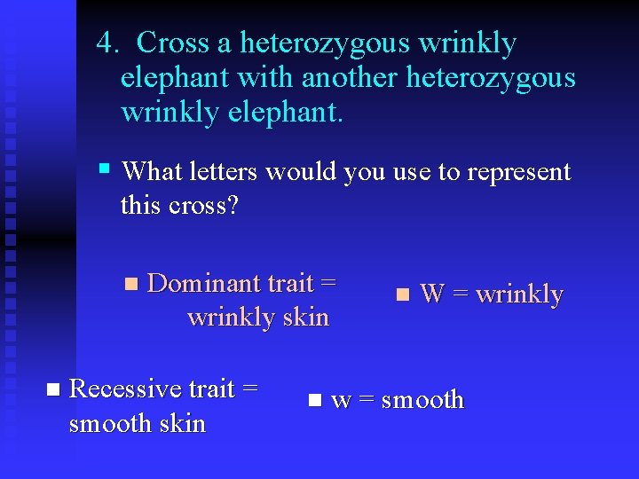 4. Cross a heterozygous wrinkly elephant with another heterozygous wrinkly elephant. § What letters