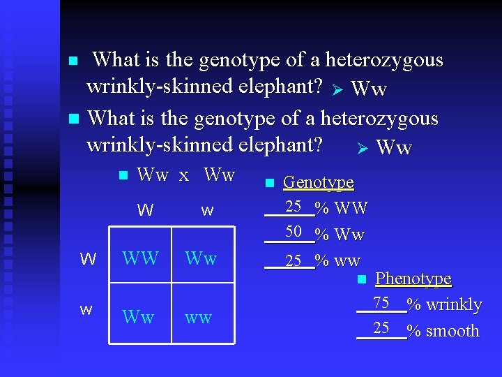 What is the genotype of a heterozygous wrinkly-skinned elephant? Ø Ww n n Ww