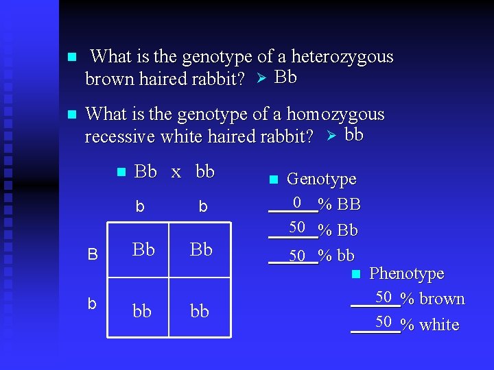 n What is the genotype of a heterozygous brown haired rabbit? Ø Bb n