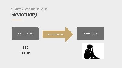 2. AUTOMATIC BEHAVIOUR Reactivity SITUATION sad feeling AUTOMATIC REACTION 