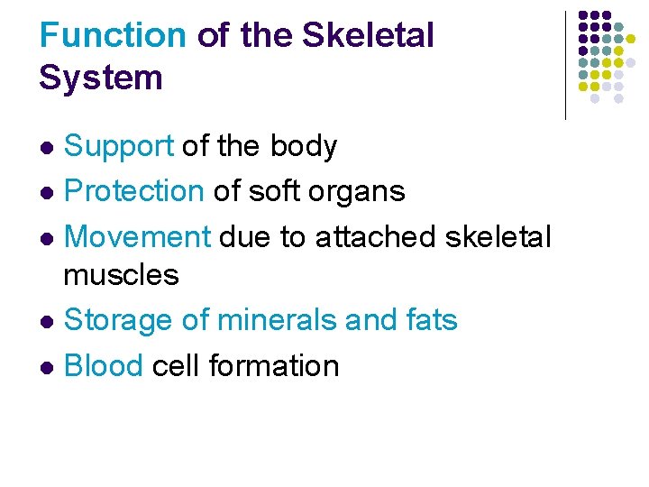 Function of the Skeletal System Support of the body l Protection of soft organs