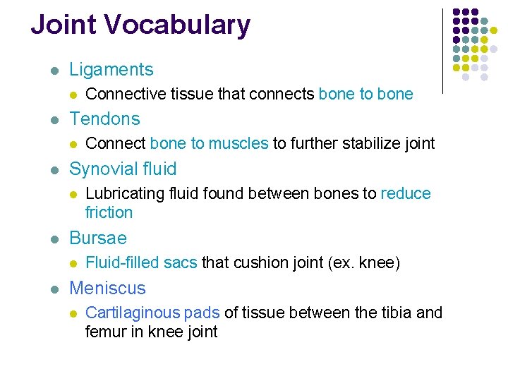 Joint Vocabulary l Ligaments l l Tendons l l Lubricating fluid found between bones