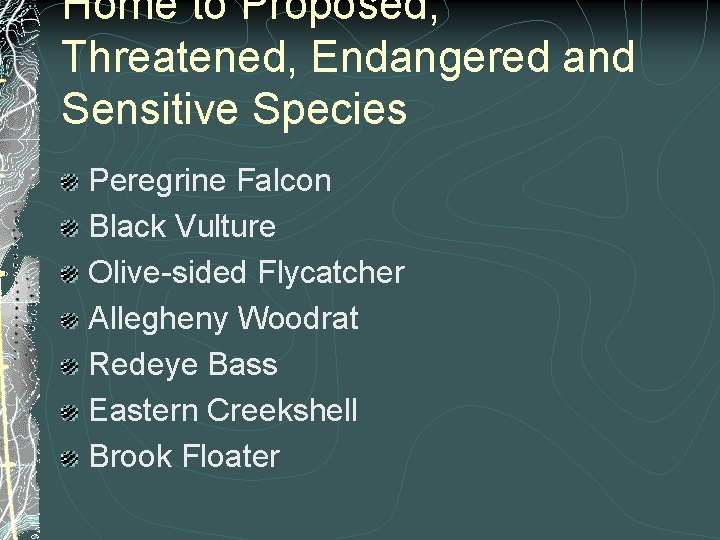 Home to Proposed, Threatened, Endangered and Sensitive Species Peregrine Falcon Black Vulture Olive-sided Flycatcher