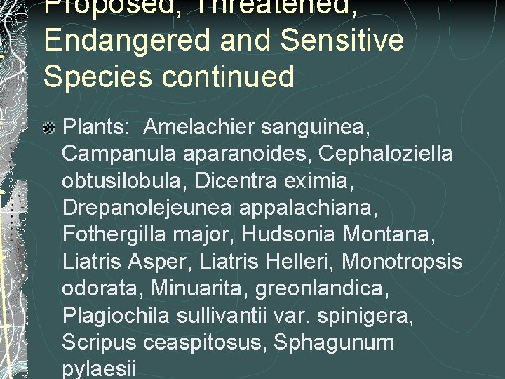 Proposed, Threatened, Endangered and Sensitive Species continued Plants: Amelachier sanguinea, Campanula aparanoides, Cephaloziella obtusilobula,