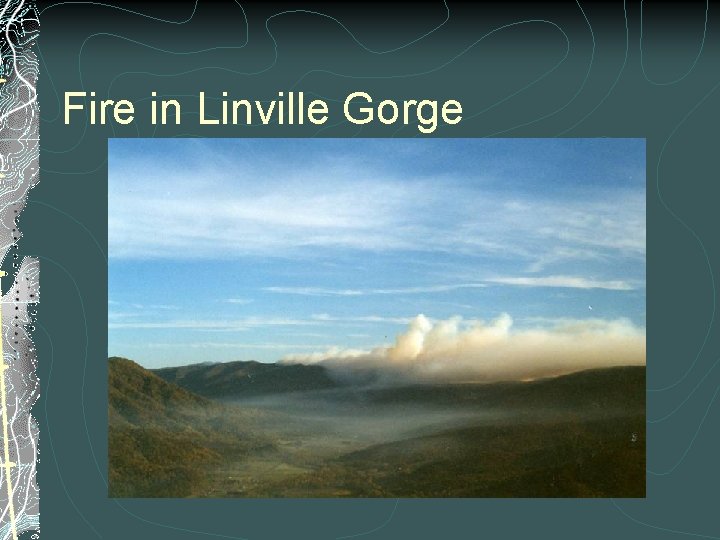 Fire in Linville Gorge 