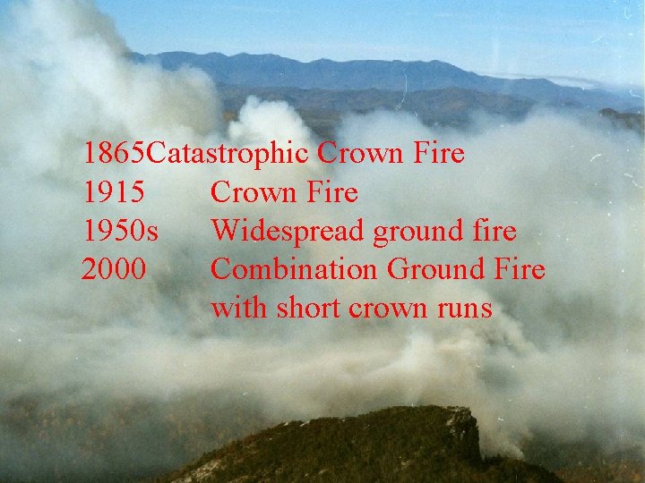 1865 Catastrophic Crown Fire 1915 Crown Fire 1950 s Widespread ground fire 2000 Combination