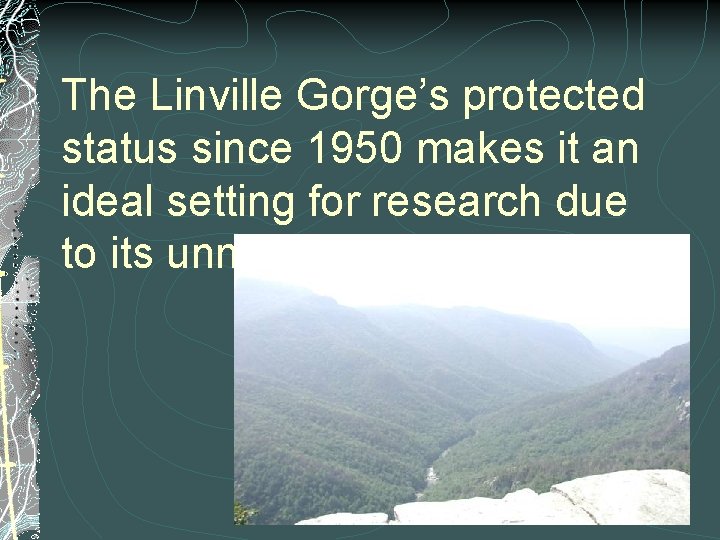 The Linville Gorge’s protected status since 1950 makes it an ideal setting for research