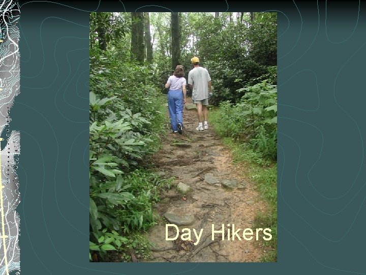 Day Hikers 