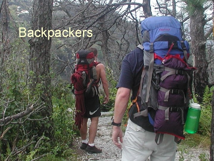 Backpackers 