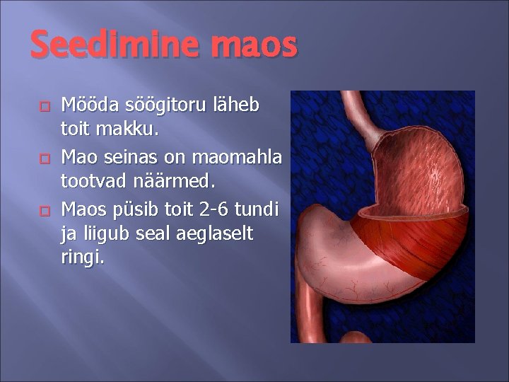 Seedimine maos Mööda söögitoru läheb toit makku. Mao seinas on maomahla tootvad näärmed. Maos