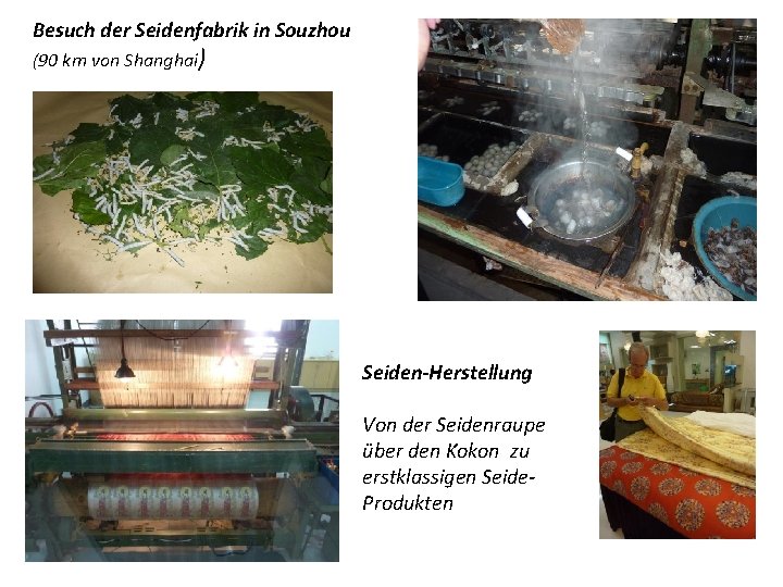 Besuch der Seidenfabrik in Souzhou (90 km von Shanghai) Seiden-Herstellung Von der Seidenraupe über