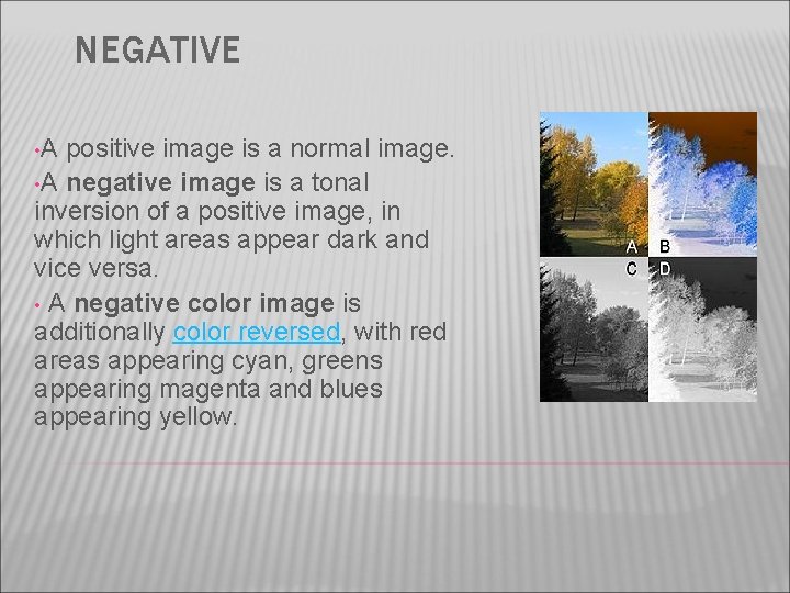 NEGATIVE • A positive image is a normal image. • A negative image is