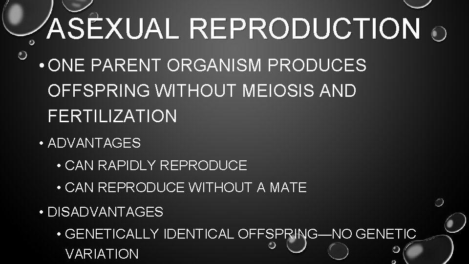 ASEXUAL REPRODUCTION • ONE PARENT ORGANISM PRODUCES OFFSPRING WITHOUT MEIOSIS AND FERTILIZATION • ADVANTAGES