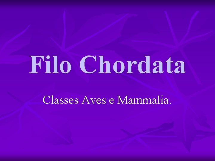 Filo Chordata Classes Aves e Mammalia. 