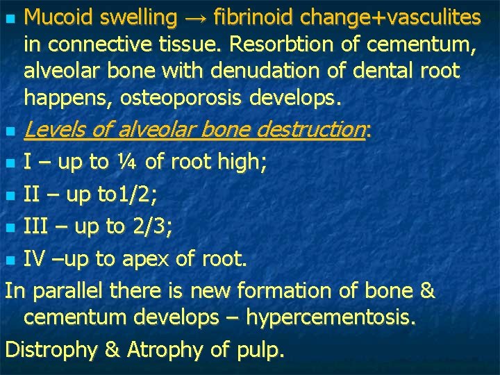 Mucoid swelling → fibrinoid change+vasculites in connective tissue. Resorbtion of cementum, alveolar bone with Mucoid swelling → fibrinoid change+vasculites in connective tissue. Resorbtion of cementum, alveolar bone with