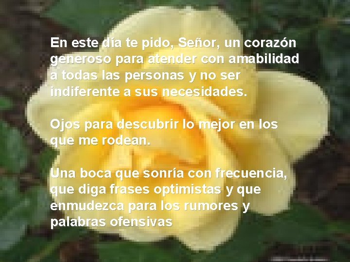 En este día te pido, Señor, un corazón generoso para atender con amabilidad a