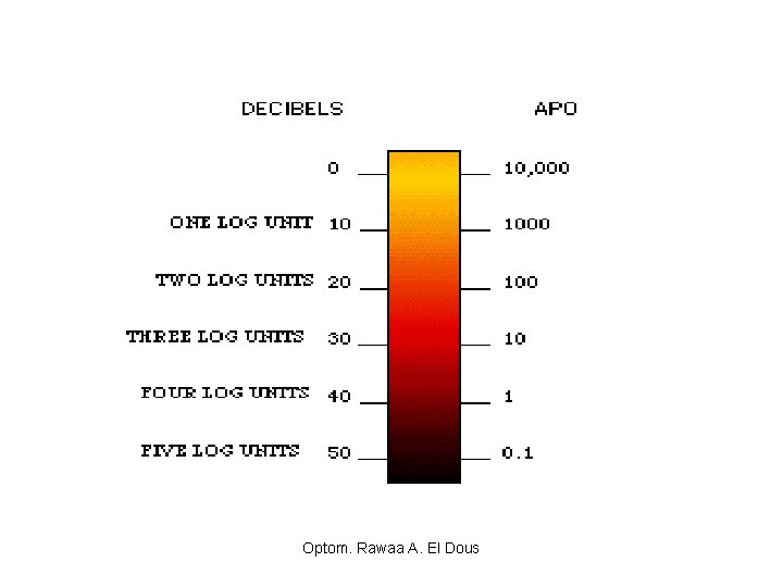 Optom. Rawaa A. El Dous 