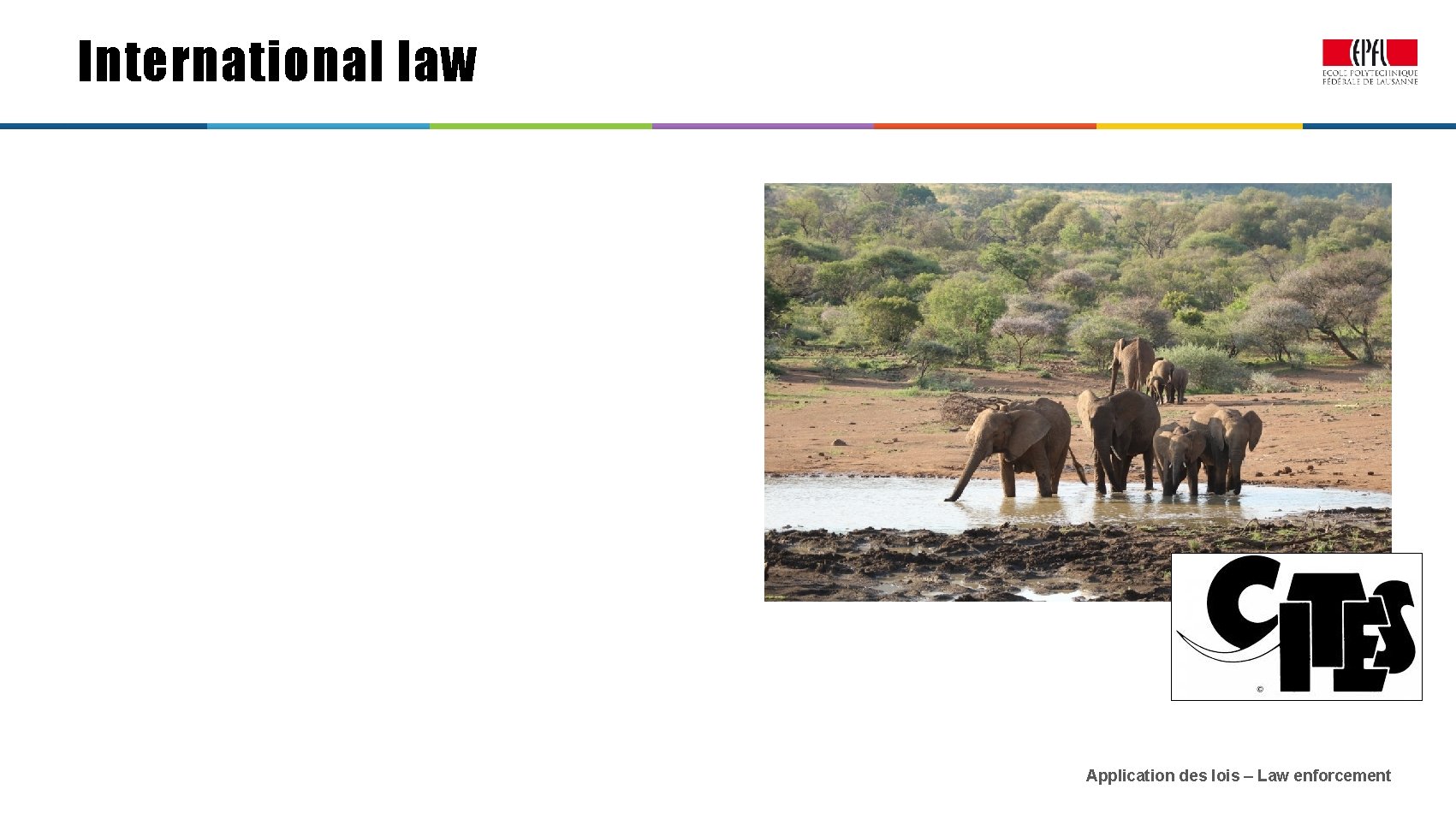 International law Application des lois – Law enforcement 